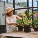 Gardening Products for Senior Gardeners