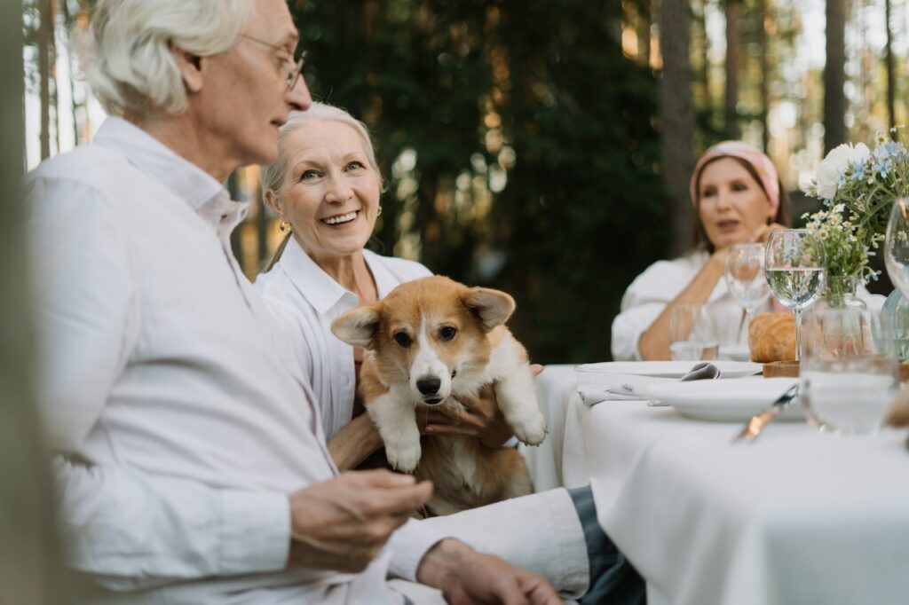 Dogs are one of the best pets for seniors